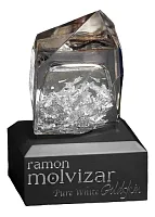Ramon Molvizar Pure White Goldskin