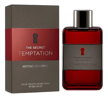 Banderas The Secret Temptation