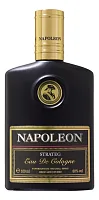 Brocard Napoleon Strateg