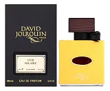 David Jourquin Cuir Solaire