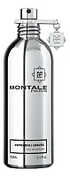 Montale Patchouli Leaves