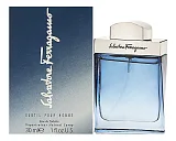 Ferragamo Subtil Pour Homme