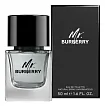 Burberry Mr. Burberry