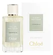 Chloe Atelier De Fleurs - Immortelle
