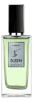 Burdin Carrure