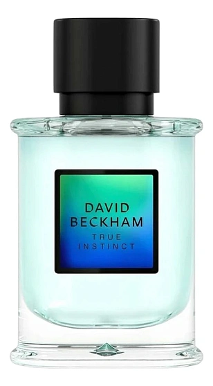 David Beckham True Instinct
