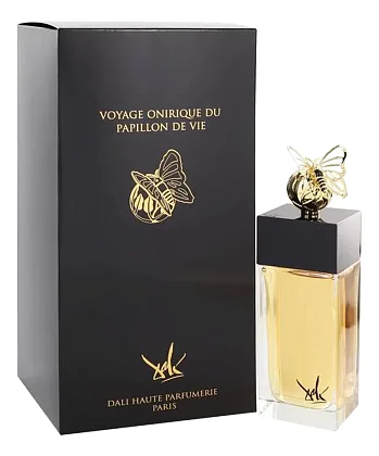 Salvador Dali Voyage Onirique Du Papillon De Vie