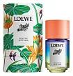 Loewe Paula's Ibiza Eclectic