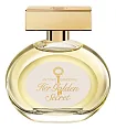 Banderas Her Golden Secret