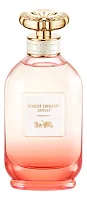 Coach Dreams Sunset