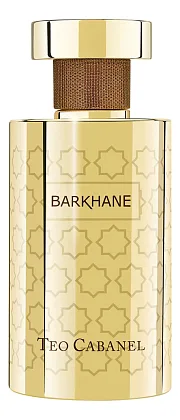 Teo Cabanel Barkhane