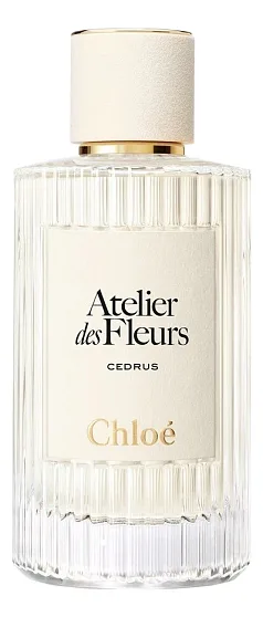 Chloe Atelier Des Fleurs Cedrus