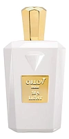 Orlov Paris Sea Of Light