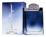 Ferragamo Subtil Pour Homme