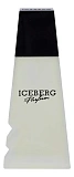 Iceberg
