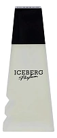 Iceberg