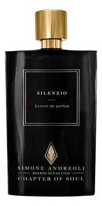 Simone Andreoli Silenzio