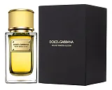 Dolce & Gabbana Velvet Mimosa Bloom
