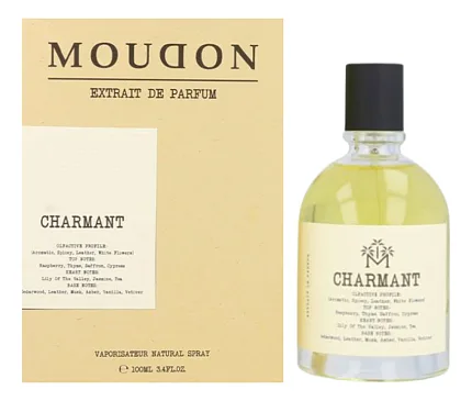 Moudon Charmant