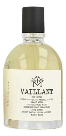 Moudon Vaillant