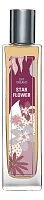 Brocard Day Dreams Star Flower