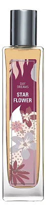 Brocard Day Dreams Star Flower
