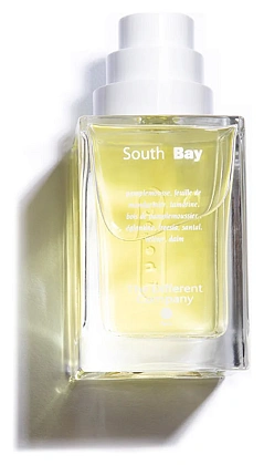 The Different Company South Bay