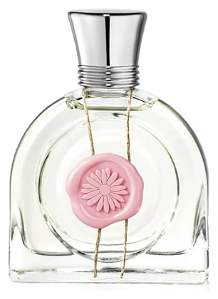 M. Micallef Fleur Aurore
