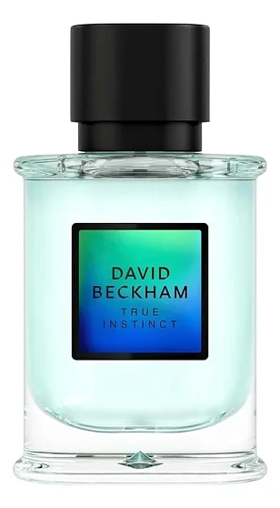 David Beckham True Instinct
