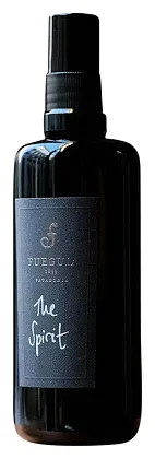Fueguia 1833 The Spirit