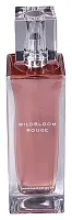 Banana Republic Wildbloom Rouge