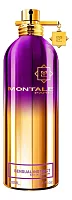 Montale Sensual Instinct