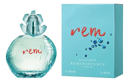 Reminiscence Rem