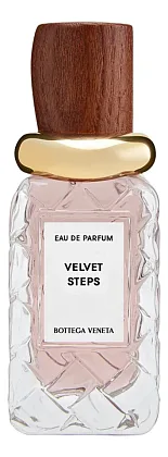 Bottega Veneta Velvet Steps