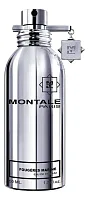 Montale Fougeres Marine