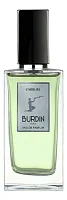 Burdin Carrure