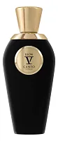 V Canto Leon