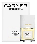 Carner Barcelona Sweet William