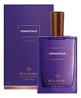 Molinard Osmanthus