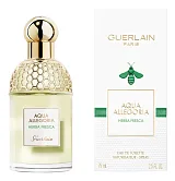 Guerlain Aqua Allegoria Herba Fresca