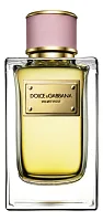 Dolce & Gabbana Velvet Rose