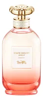 Coach Dreams Sunset