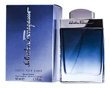 Ferragamo Subtil Pour Homme