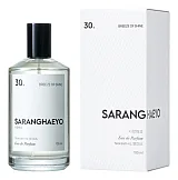 Saranghaeyo 30. Breeze Of Shine