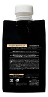 Lebel Estessimo Celcert Shampoo Forcen — укрепляющий шампунь