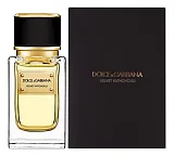 Dolce & Gabbana Velvet Patchouli