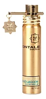 Montale Aoud Lagoon