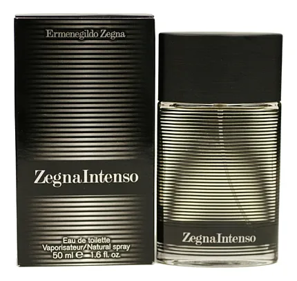 Ermenegildo Zegna Intenso