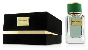 Dolce & Gabbana Velvet Cypress
