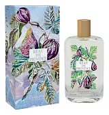 Fragonard Beau De Provence